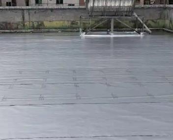 洛扎测漏水电话